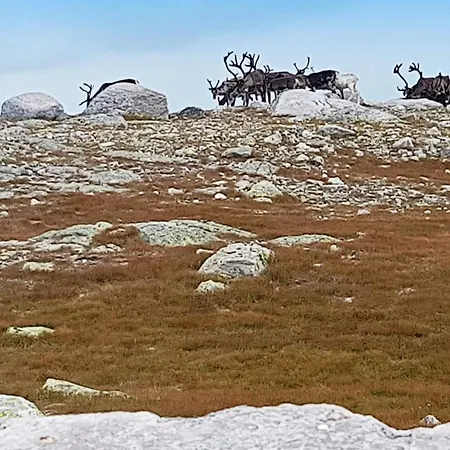 بيت للعطل 4 Person In *