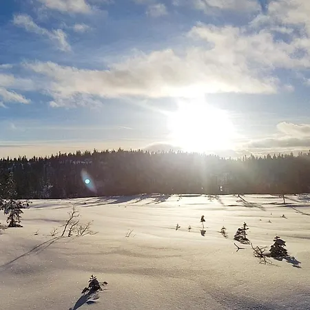 4 Person In Feriehus Eggedal